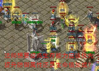 法师想要提高生存能力应该优先提升防御属性还是生命值加成? 法师想要提高生存能力应该优先提升防御属性还是生命值加成?
