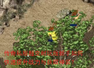 传奇私服超变耐玩版新手如何快速提升战力与获取神装? 传奇私服超变耐玩版新手如何快速提升战力与获取神装?