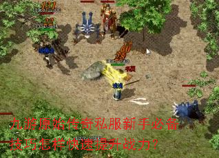 九游原始传奇私服新手必备技巧怎样快速提升战力? 九游原始传奇私服新手必备技巧怎样快速提升战力?
