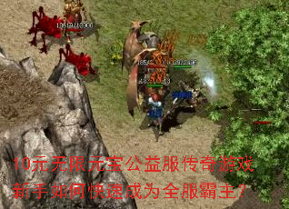 10元无限元宝公益服传奇游戏新手如何快速成为全服霸主? 10元无限元宝公益服传奇游戏新手如何快速成为全服霸主?
