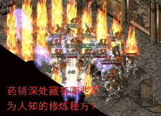 药铺深处藏有哪些不为人知的修炼秘方? 药铺深处藏有哪些不为人知的修炼秘方?