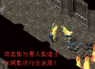 攻击型与害人型道士如何影响行会发展? 攻击型与害人型道士如何影响行会发展?