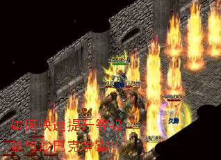 如何快速提升等级参与沙巴克争霸? 如何快速提升等级参与沙巴克争霸?