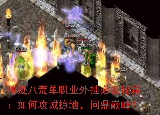 神迹八荒单职业外挂必备秘籍:如何攻城掠地,问鼎巅峰? 神迹八荒单职业外挂必备秘籍:如何攻城掠地,问鼎巅峰?