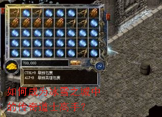 如何成为冰雪之城中的传奇道士高手? 如何成为冰雪之城中的传奇道士高手?