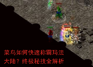 菜鸟如何快速称霸玛法大陆?终极秘技全解析 菜鸟如何快速称霸玛法大陆?终极秘技全解析