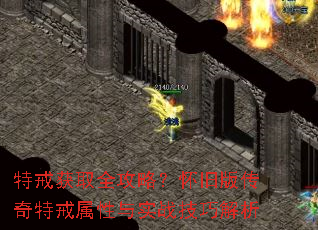 �ؽ��ȡȫ���ԣ����ɰ洫���ؽ�������ʵս���ɽ���