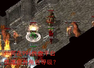 �����996����ƽ̨����������ɫ�ȼ���