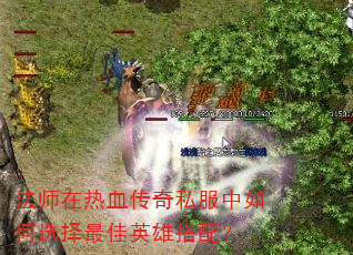 法师在热血传奇私服中如何选择最佳英雄搭配? 法师在热血传奇私服中如何选择最佳英雄搭配?