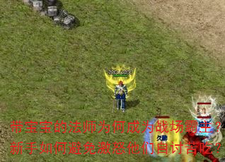 带宝宝的法师为何成为战场霸主?新手如何避免激怒他们自讨苦吃? 带宝宝的法师为何成为战场霸主?新手如何避免激怒他们自讨苦吃?
