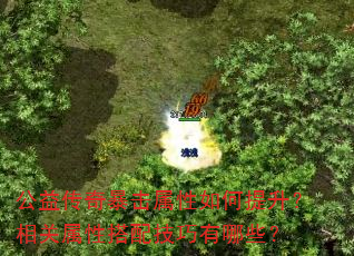 公益传奇暴击属性如何提升?相关属性搭配技巧有哪些? 公益传奇暴击属性如何提升?相关属性搭配技巧有哪些?