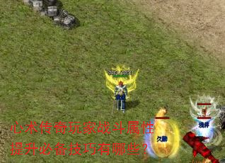 心术传奇玩家战斗属性提升必备技巧有哪些? 心术传奇玩家战斗属性提升必备技巧有哪些?