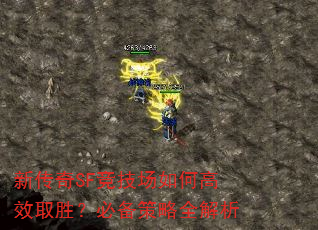 新传奇SF竞技场如何高效取胜?必备策略全解析 新传奇SF竞技场如何高效取胜?必备策略全解析