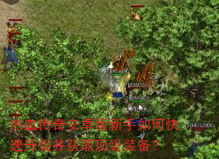 热血传奇安卓版新手如何快速升级并获取顶级装备? 热血传奇安卓版新手如何快速升级并获取顶级装备?