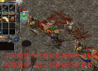 ֻ̬˽οˢBOSSװսȫ