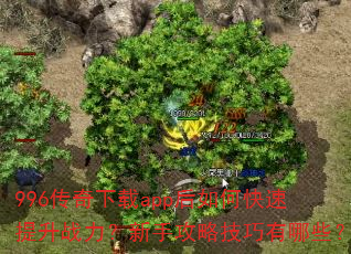 996传奇下载app后如何快速提升战力?新手攻略技巧有哪些? 996传奇下载app后如何快速提升战力?新手攻略技巧有哪些?