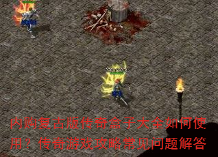 内购复古版传奇盒子大全如何使用?传奇游戏攻略常见问题解答 内购复古版传奇盒子大全如何使用?传奇游戏攻略常见问题解答