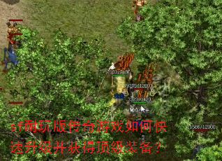 sf耐玩版传奇游戏如何快速升级并获得顶级装备? sf耐玩版传奇游戏如何快速升级并获得顶级装备?