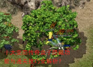 十大变态传奇盒子隐藏功能与通关技巧全解析? 十大变态传奇盒子隐藏功能与通关技巧全解析?