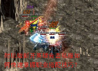 ¿Ӣۺϻ˽οְҵ似ɣ