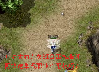 ¿Ӣۺϻ˽οְҵ似ɣ