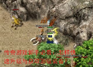 传奇游戏新手必看:怎样快速升级与获取顶级装备? 传奇游戏新手必看:怎样快速升级与获取顶级装备?
