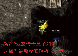 满VIP变态传奇盒子如何选择?最新攻略解析与推荐 满VIP变态传奇盒子如何选择?最新攻略解析与推荐