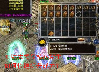 耐玩版传奇私服新手如何快速提升战力? 耐玩版传奇私服新手如何快速提升战力?