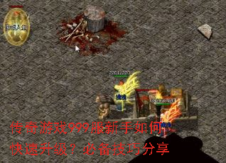 传奇游戏999服新手如何快速升级?必备技巧分享 传奇游戏999服新手如何快速升级?必备技巧分享