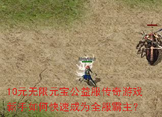 10元无限元宝公益服传奇游戏新手如何快速成为全服霸主? 10元无限元宝公益服传奇游戏新手如何快速成为全服霸主?