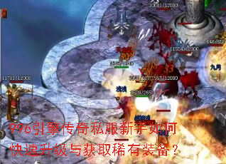 996���洫��˽��������ο����������ȡϡ��װ����