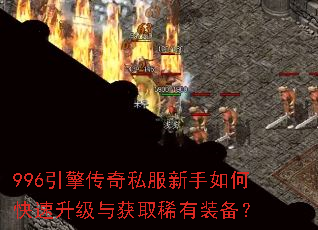 996���洫��˽��������ο����������ȡϡ��װ����