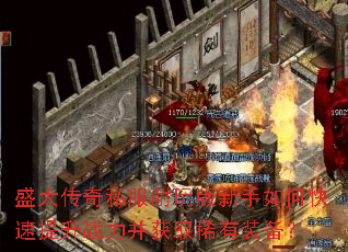 ʢ����˽�������������ο�������ս������ȡϡ��װ����