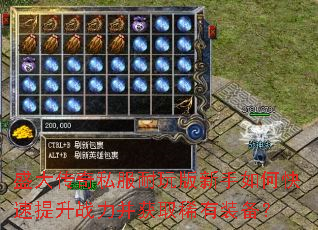 ʢ����˽�������������ο�������ս������ȡϡ��װ����