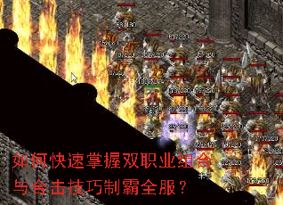 ��ο�������˫ְҵ�����ϻ������ư�ȫ����