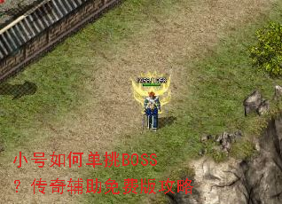 С����ε���BOSS�����渨����Ѱ湥��