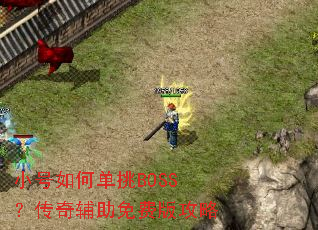 С����ε���BOSS�����渨����Ѱ湥��