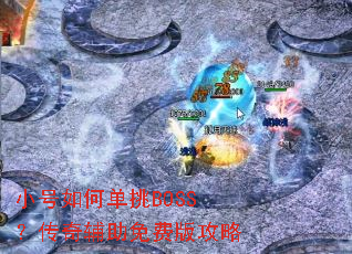 С����ε���BOSS�����渨����Ѱ湥��