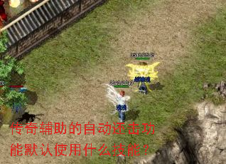 ���渨�����Զ���������Ĭ��ʹ��ʲô���ܣ�