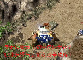 ����˽��������ο���������ְҵѡ����װ����ȡȫ����