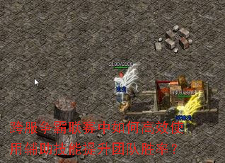 ���������������θ�Чʹ�ø������������Ŷ�ʤ�ʣ�