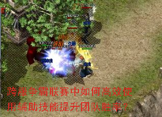 ���������������θ�Чʹ�ø������������Ŷ�ʤ�ʣ�