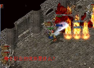 ÿ��ְҵ��������ʲô��