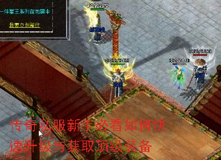 传奇私服新手必看如何快速升级与获取顶级装备 传奇私服新手必看如何快速升级与获取顶级装备