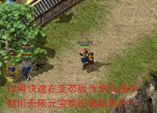 ��ο����ڱ�̬�洫��˽������������Ԫ��ʵ��������ɫ��