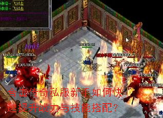 �ϻ�����˽��������ο�������ս���뼼�ܴ��䣿