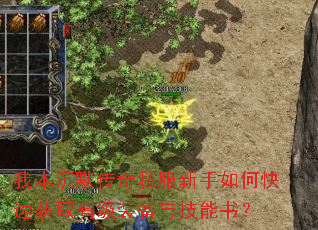 �ұ���Ĭ����˽��������ο��ٻ�ȡ�߼�װ���뼼���飿