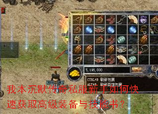 �ұ���Ĭ����˽��������ο��ٻ�ȡ�߼�װ���뼼���飿