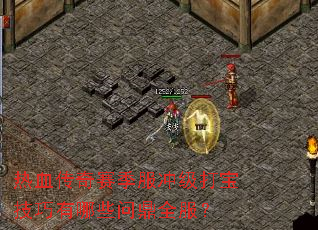 ��Ѫ�����������弶�򱦼�������Щ�ʶ�ȫ����