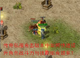 ����˽���ϻ��汾����ο���������ɫս�����뼼�����Ч�ʣ�